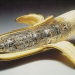 5 saker Nano Banana gör extra bra